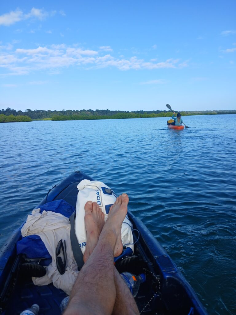 Two kayaks on waters of Bocas del Toro, Panama, with lush green mangroves in the background. Water Vibe Tours sea kayaking adventure, showcasing the natural beauty of Panama's Caribbean sea